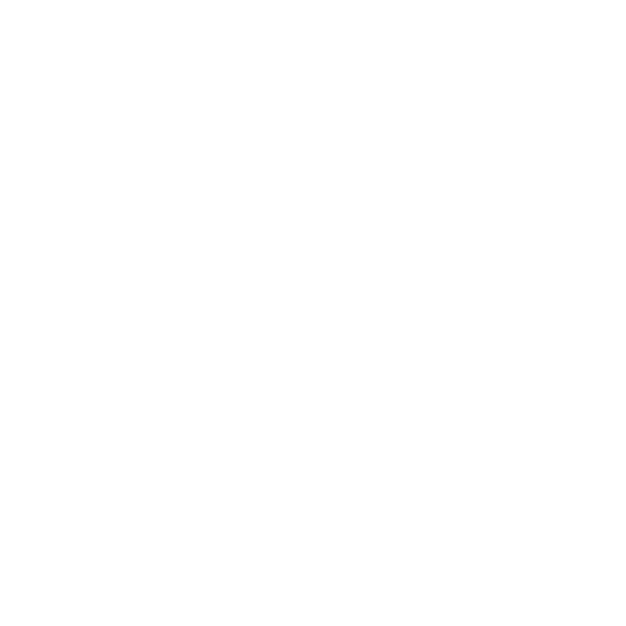 Logo Problemlos Physik